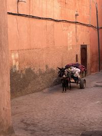 Rear view of man riding horse