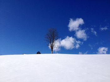 Snow covered landscape against blue sky