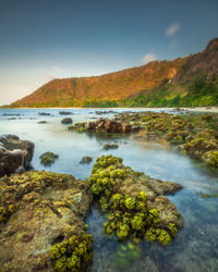 The white stone beach that afternoon was so beautiful at low tide with beautiful stones in the sea