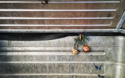 Close-up of fruits hanging on fruit