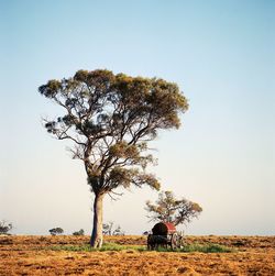 Wagon sits under a tree in a plowed field 