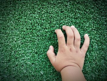 High angle view of human hand on grass