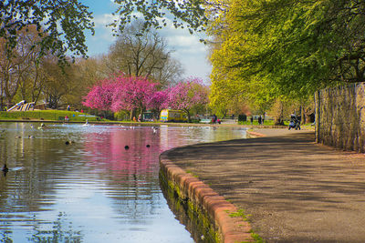 Footpath in park during autumn