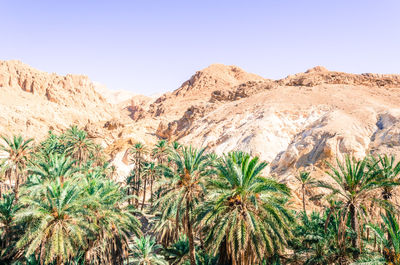 Scenic view of mountains against clear sky
