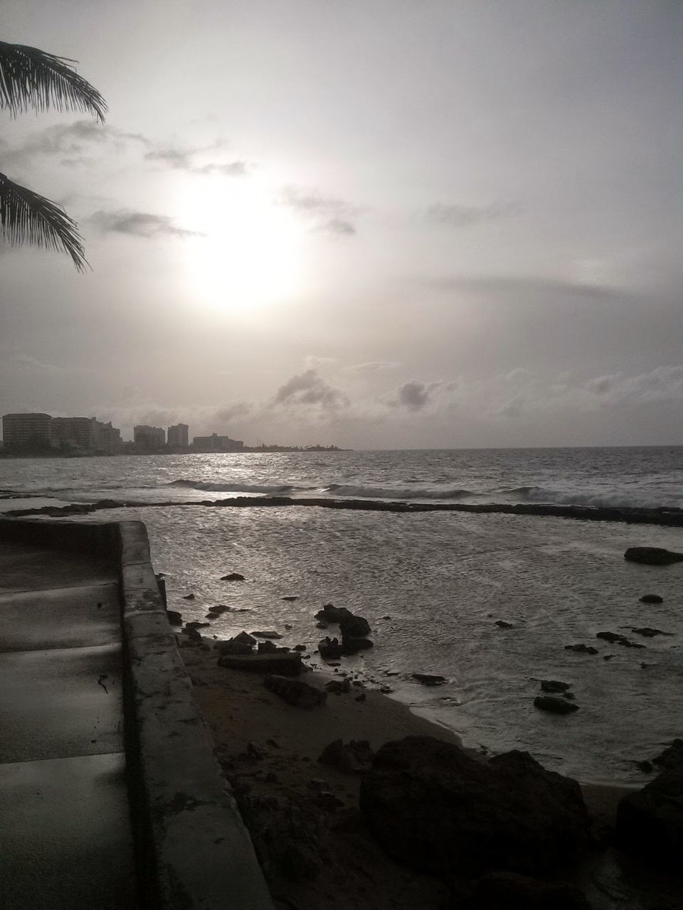 sea, sky, water, beach, horizon over water, no people, cloud - sky, beauty in nature, scenics, nature, sand, outdoors, palm tree, day