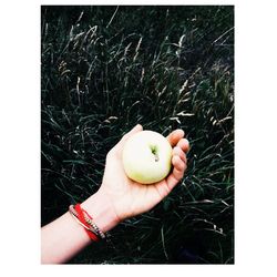 Close-up of hand holding food