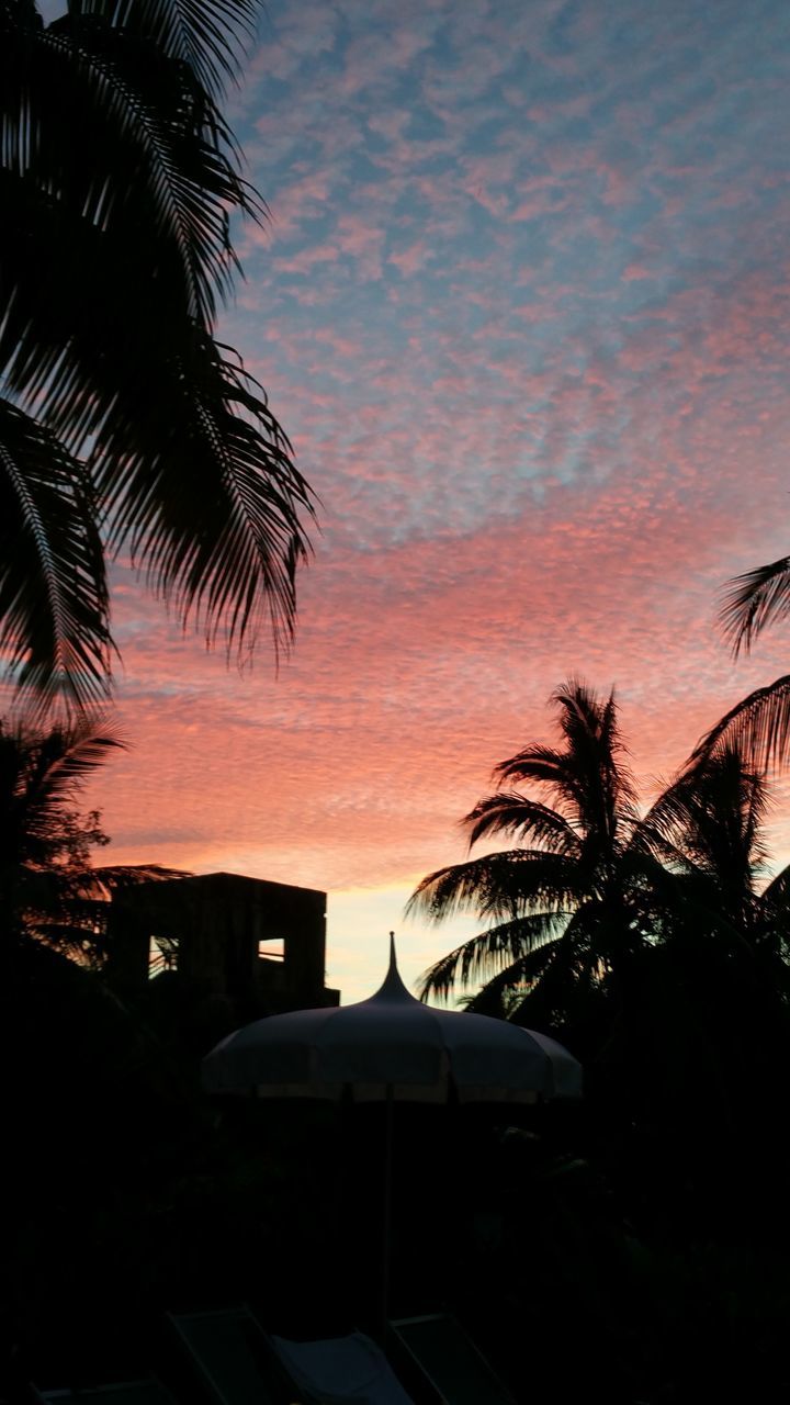 SILHOUETTE OF PALM TREE AGAINST SUNSET SKY