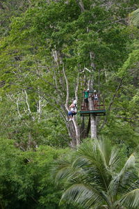 People on horse in forest