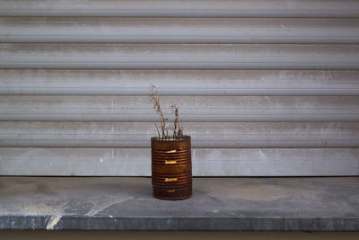 Rusted can with dried plant