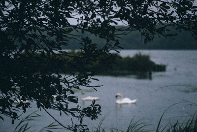 Scenic view of lake