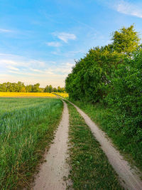 Field by trees against sky