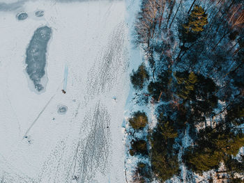 High angle view of snow covered trees next to lake