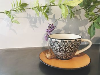 Close-up of potted plant on table