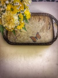 High angle view of daisy flowers on table