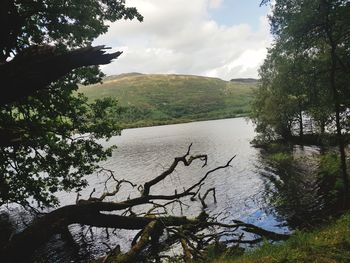 Scenic view of lake by trees against sky