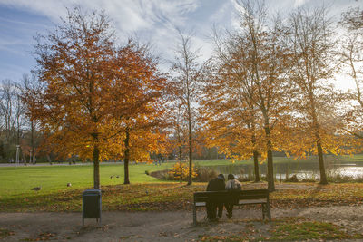 People sitting on bench in park during autumn