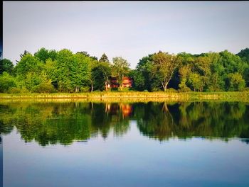 Reflection of trees in lake