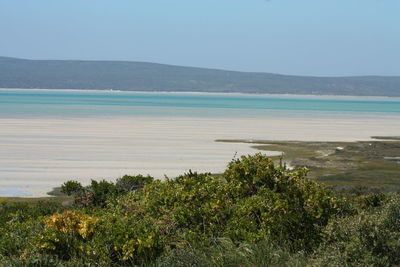 Scenic view of sea against clear sky