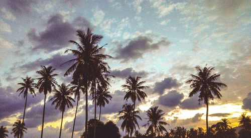 Low angle view of silhouette palm trees against sky