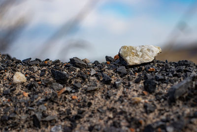 Close-up of stones on rock