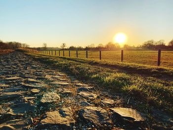 Scenic view of field against clear sky during sunset
