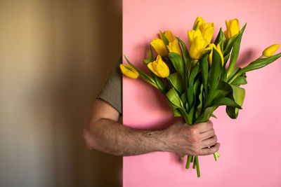 Midsection of person holding pink tulips