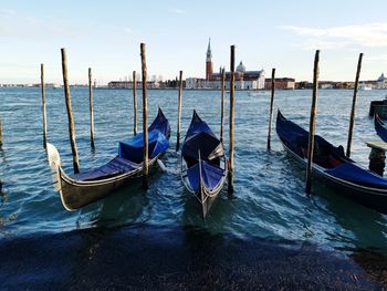 Gondolas in venice 