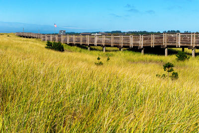 View of grassy field against sky