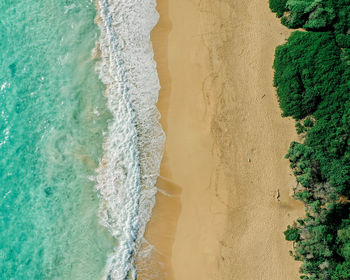 Aerial view of beach