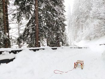 Scenic view of snow covered path with a sled