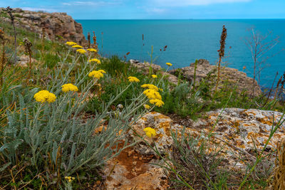 Scenic view of sea against cloudy sky