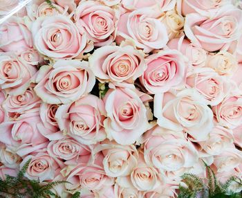 Close-up of rose bouquet