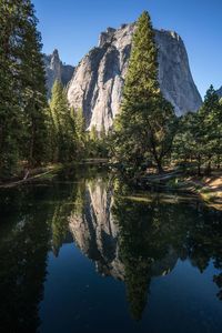 Reflection of trees in lake against sky