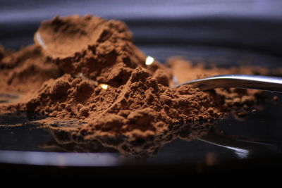 Close-up of chocolate cake in plate
