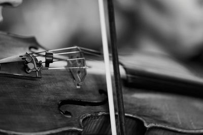 Close-up of violin