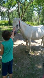 Full length of boy with horse and plants