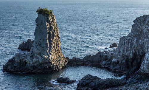Rock formation in sea at jeju island