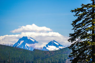 Scenic view of landscape against blue sky