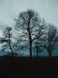 Bare tree on landscape against the sky