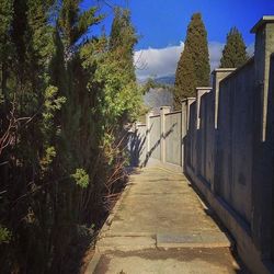 Walkway leading to building