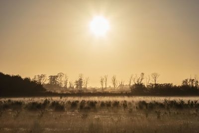 Scenic view of field against sky during sunset