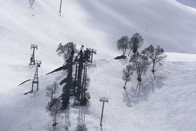 High angle view of trees on snow covered field