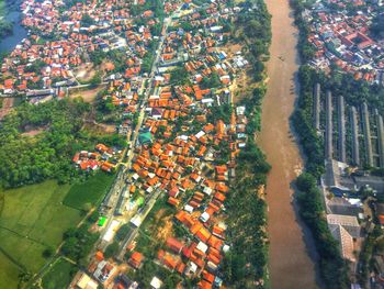 High angle view of trees and buildings in city