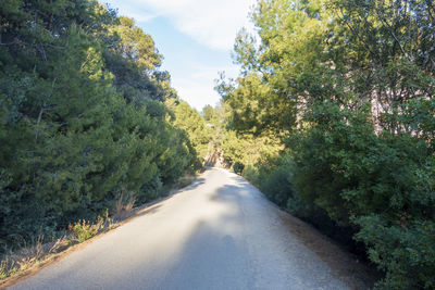 Empty road amidst trees against sky