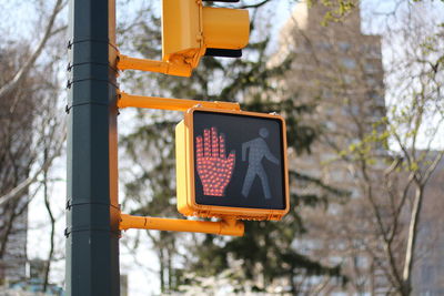 Low angle view of road sign against trees from new york pedestrian crossing sign