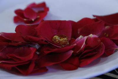 Close-up of red roses
