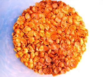 High angle view of orange against white background