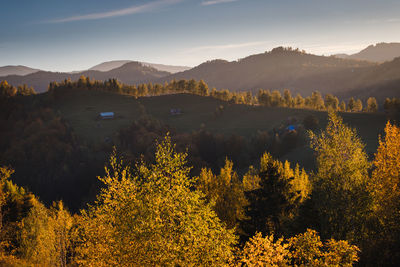 Scenic view of trees and mountains against sky during sunset