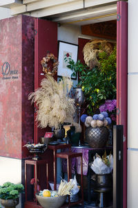 Potted plants on window of building