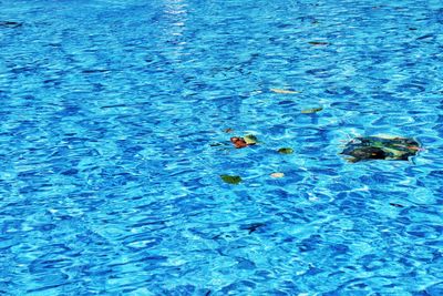 View of blue water
